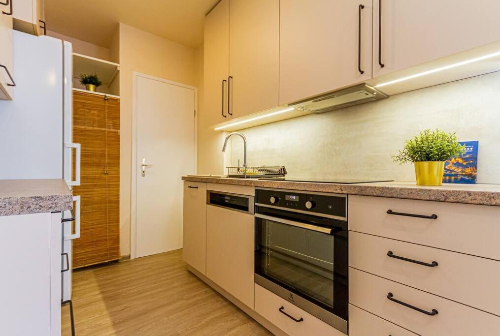 Roomy Apartment 80Sqm At City Center Free Parking Space, Ac & Balcony Budapest Exterior foto